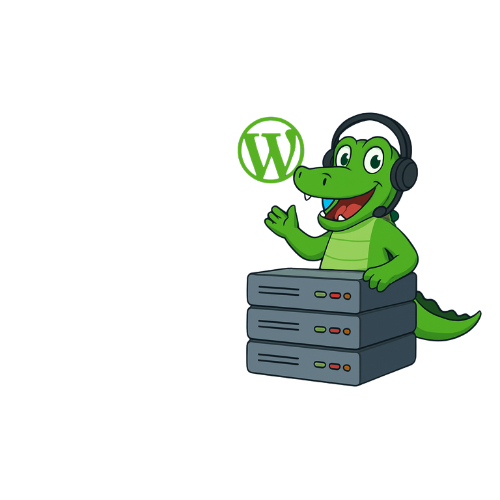 Illustration of fast WordPress Cloud hosting on Hostalig servers